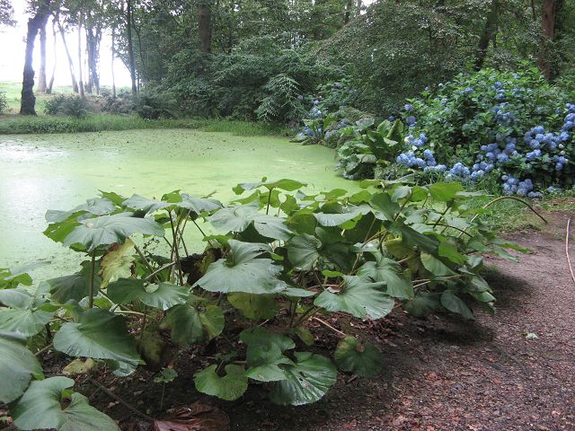 Bois de Moutiers